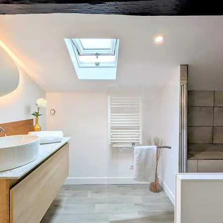 151 - Terrasse & Jacuzzi, Rue Trivalle, Pied De La Cite De - Climatisation, Netflix, Fibre *