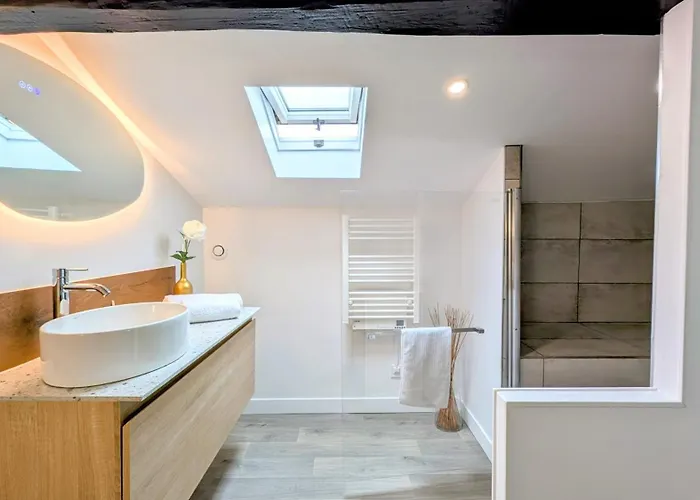 151 - Terrasse & Jacuzzi, Rue Trivalle, Pied De La Cite De - Climatisation, Netflix, Fibre *